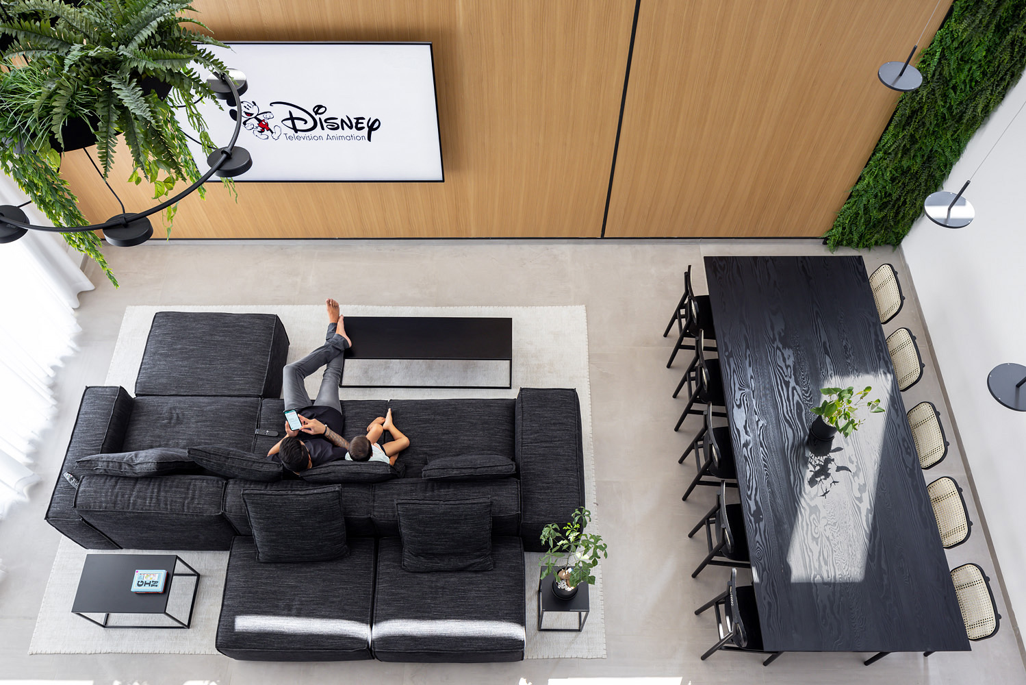 DSTvilla6 · 以色列自然光与隐私并存的住宅设计-8