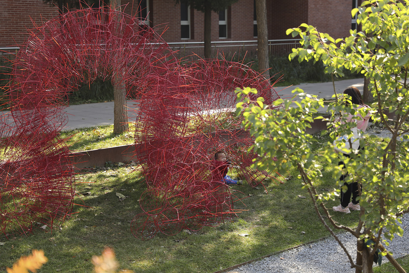 丹岩丨中国北京丨北京林业大学-75