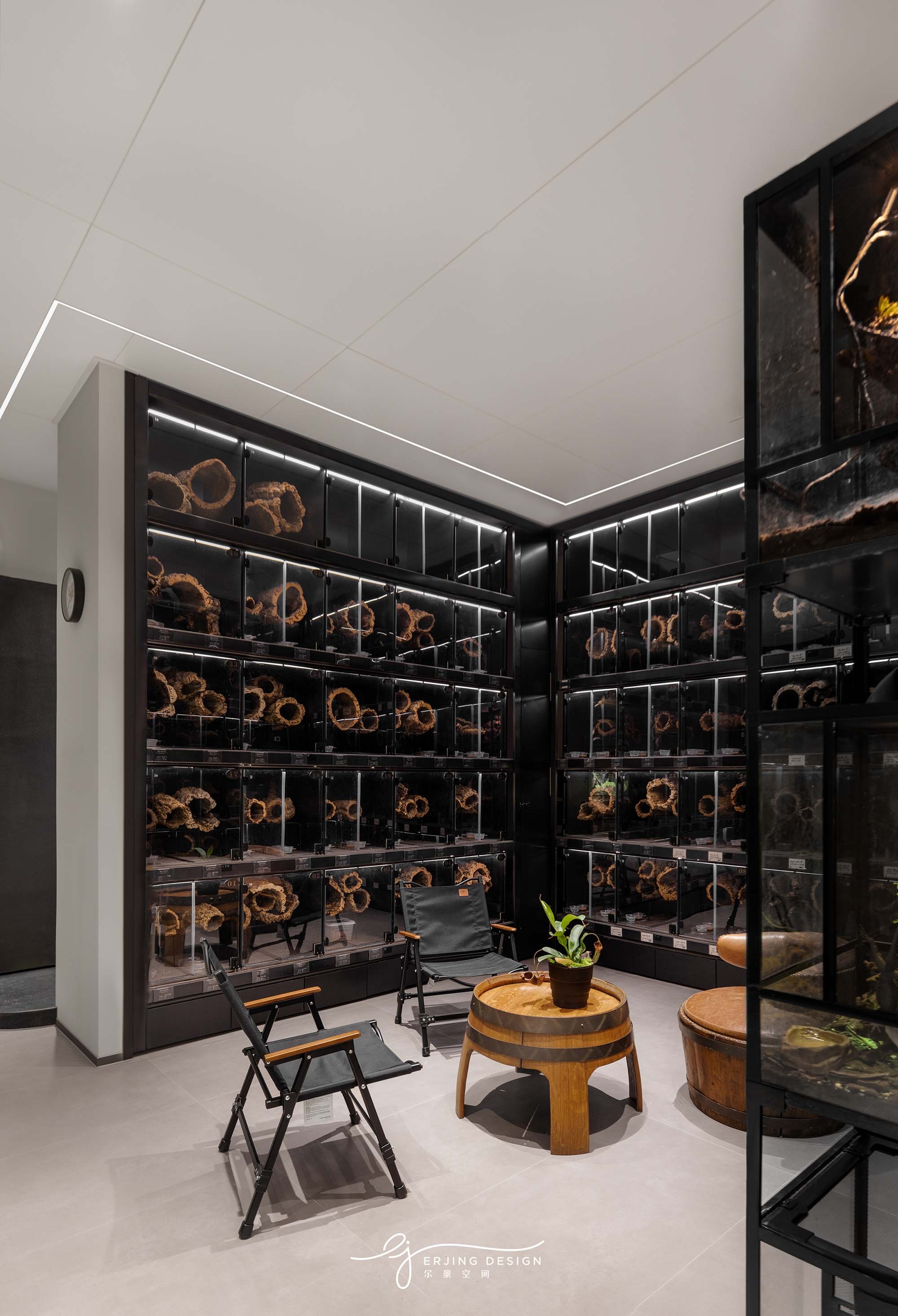 爬宠店·Sign Of Gecko丨中国杭州丨尔景空间设计-42