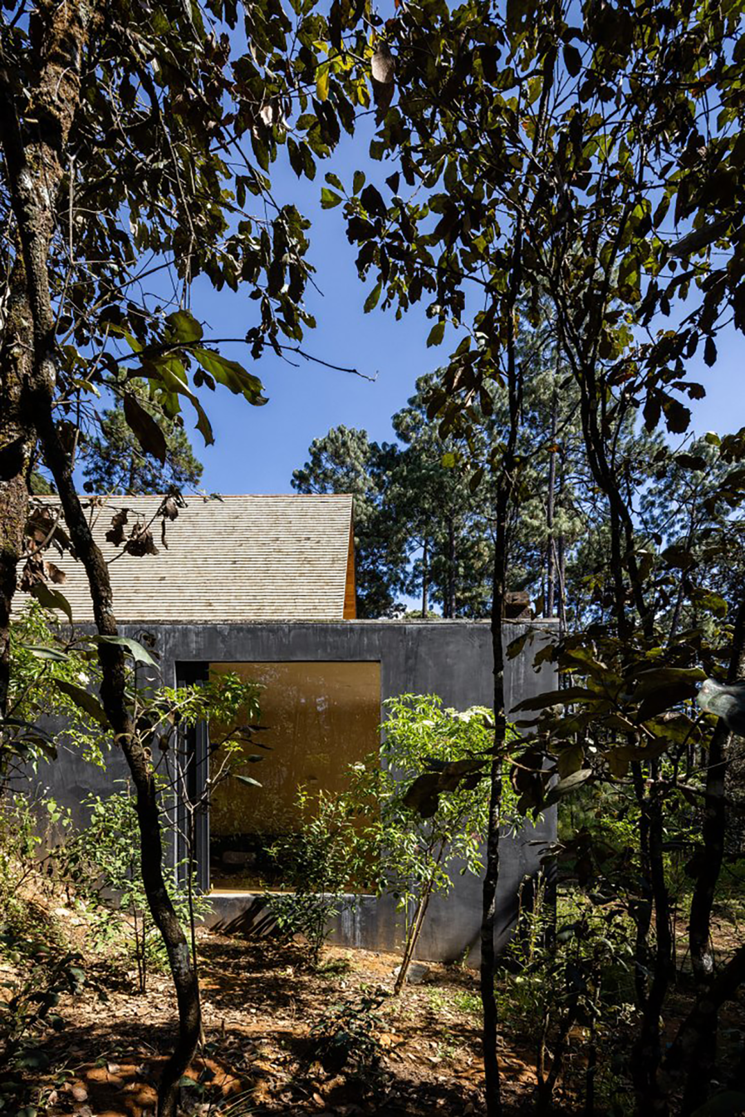 自然与永恒的融合 | 墨西哥建筑师Pablo Pérez Palacios的自然美学设计-42