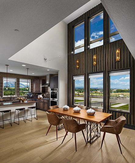 丨美国科罗拉多丨DTJ Design-16