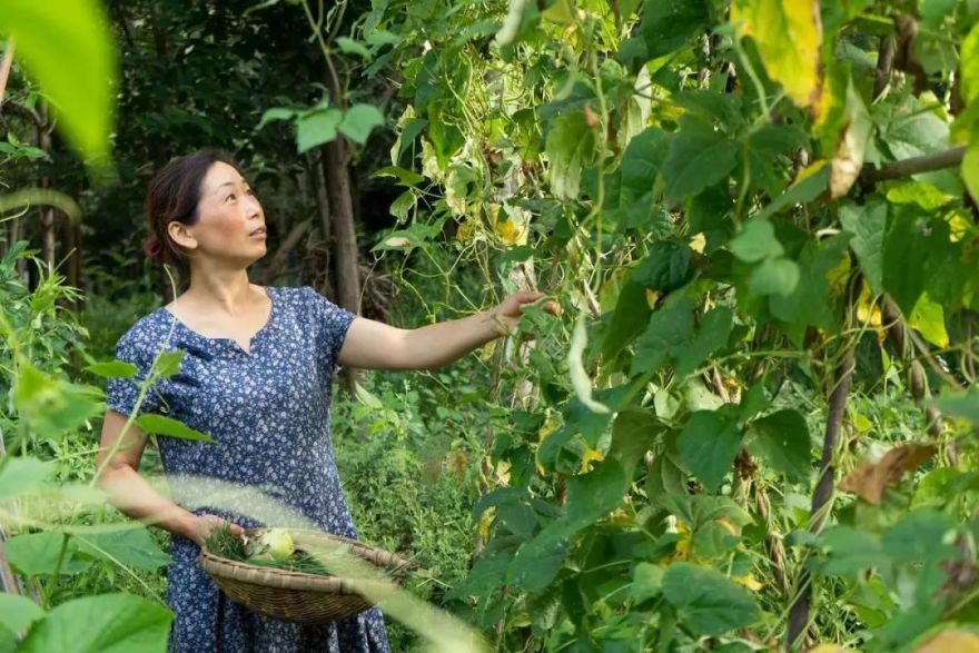 废弃庄园变鹭鸟天堂 | 400㎡中式宅院与 30 亩森林的共生设计-89