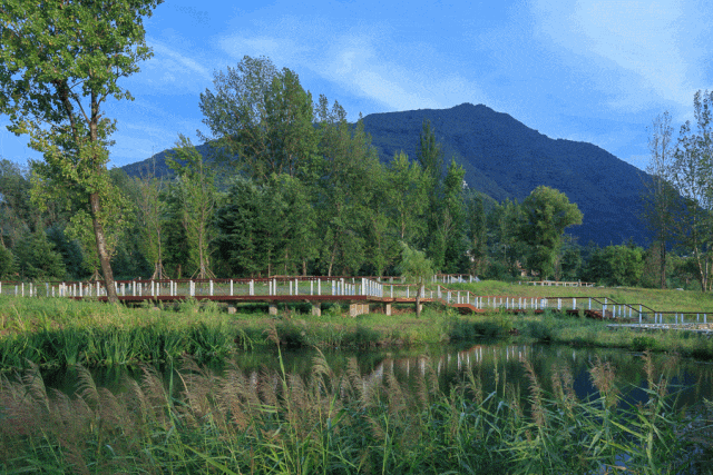 秦岭国家植物园田峪河湿地公园-0