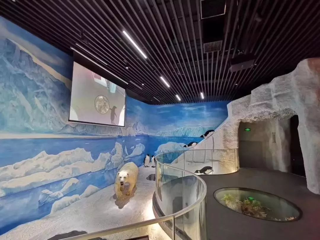 平潭珍稀物种科普展示馆 | 光影艺术的盛宴-14