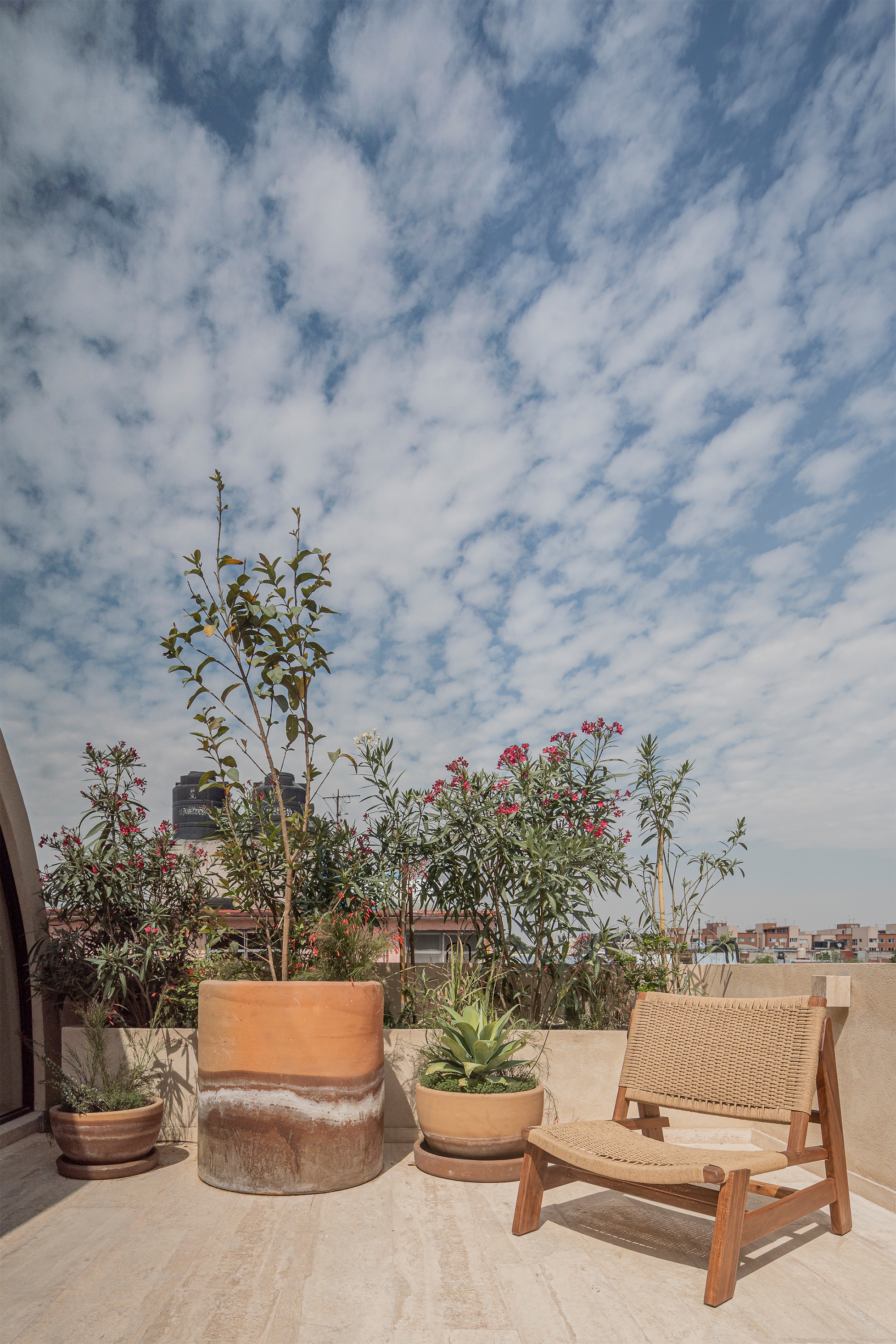 Mariano Azuela 194公寓丨墨西哥墨西哥城丨Bloqe Arquitectura-25