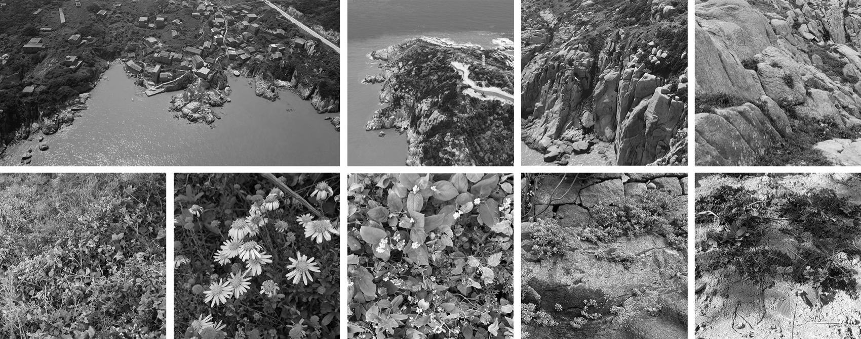 大乐之野·黄龙岛灯塔酒店丨中国舟山-34