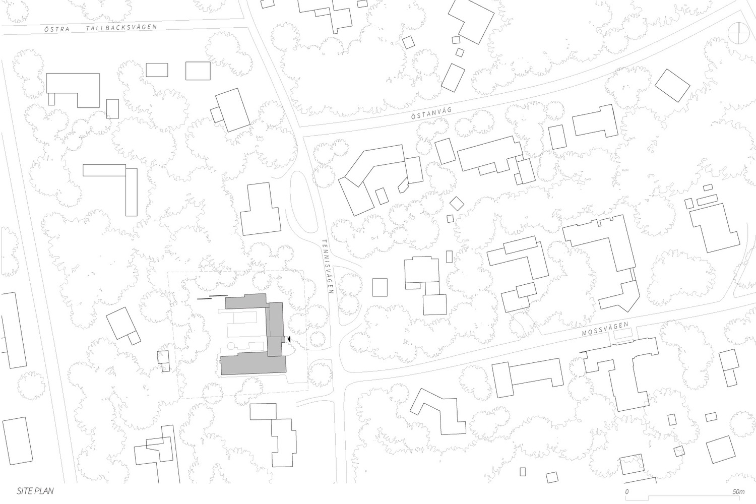 维拉·坦尼斯韦根-43