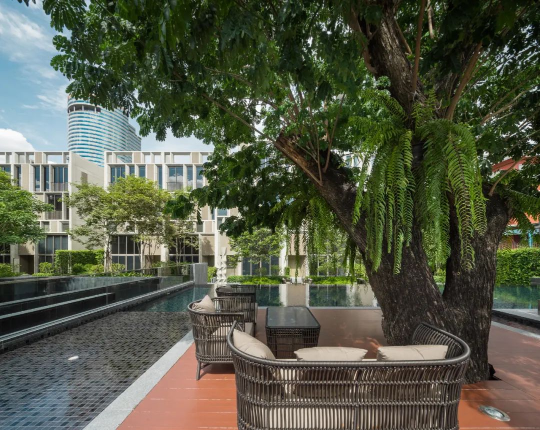 曼谷 Quarter 39 别墅景观 | 阶梯植栽与历史古树共生的绿色家园-31