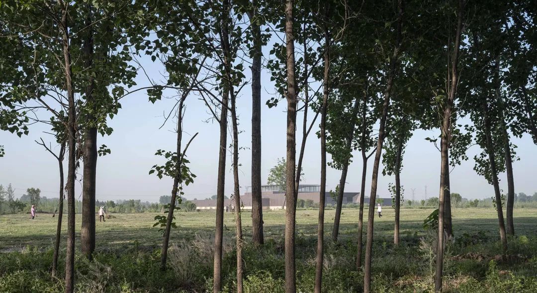 二里头夏都遗址博物馆丨中国洛阳丨同济大学建筑设计研究院若本建筑工作室-37