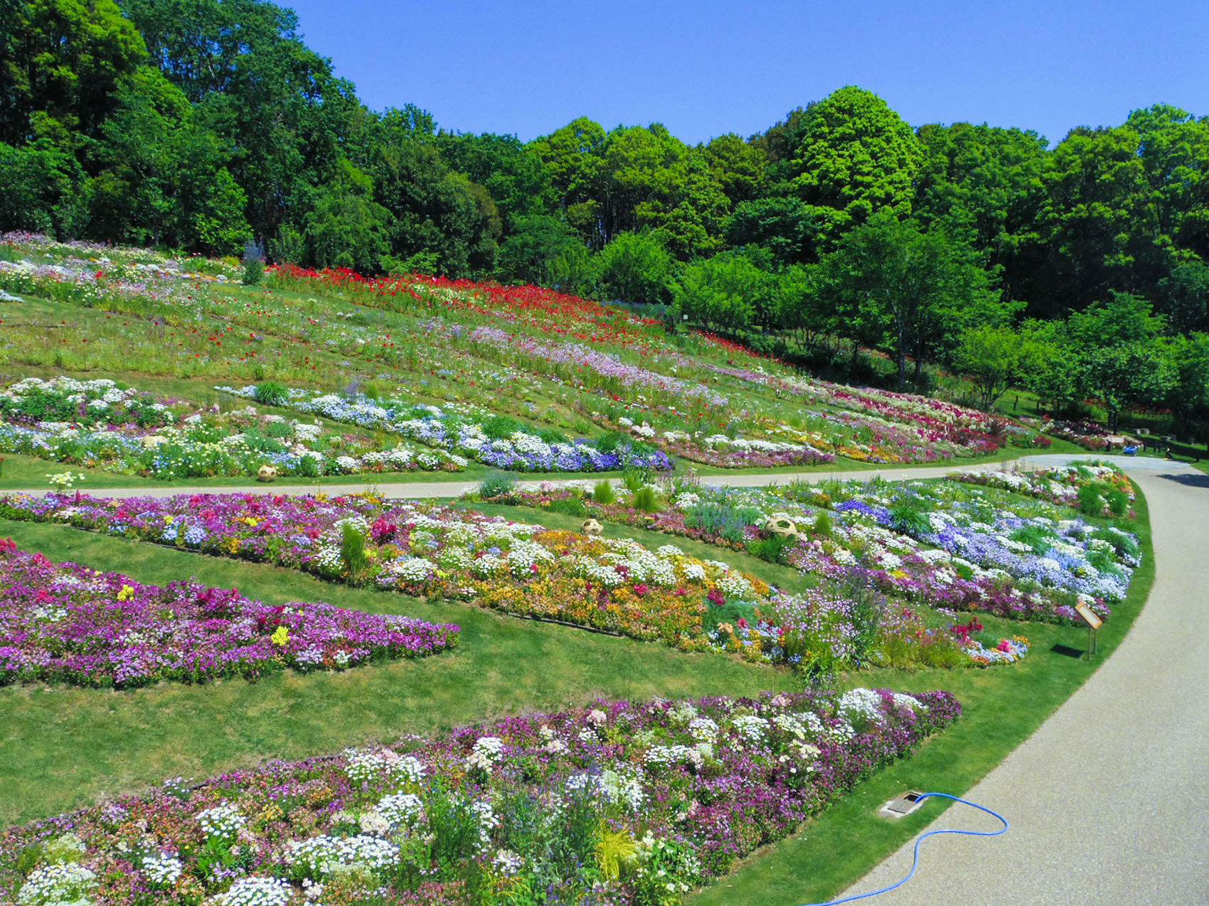 日本里山花园丨户田芳树风景计画-27
