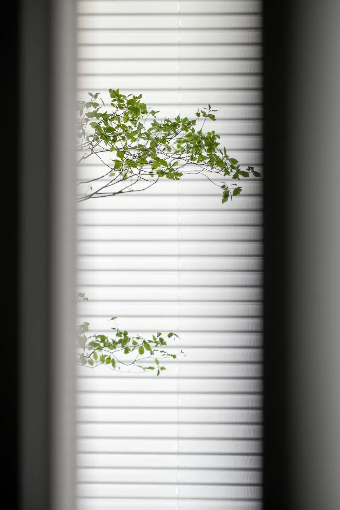 家简丨中国西安丨S.T.Design-28