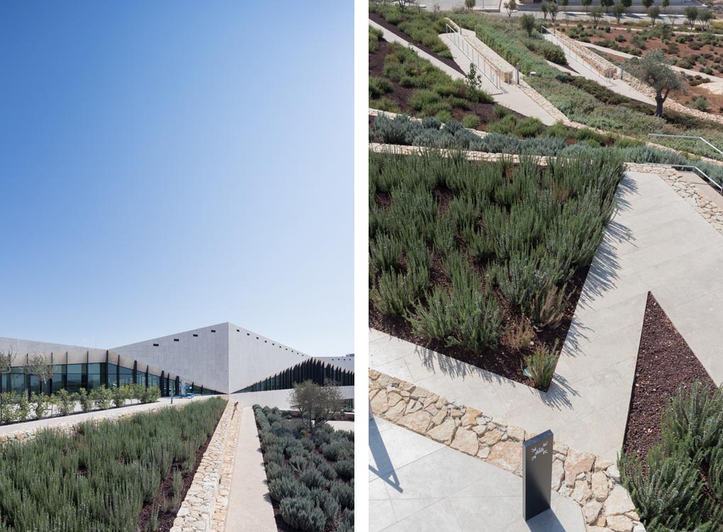 巴勒斯坦博物馆丨Heneghan Peng Architects-38