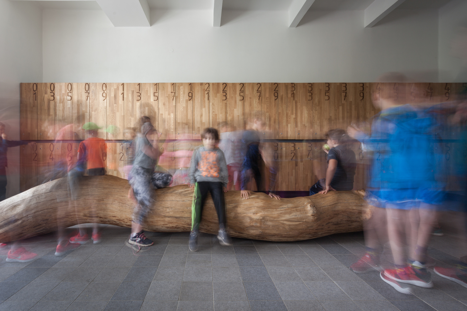 趣味空间 · Jara Cimrman School 的创意设计-19