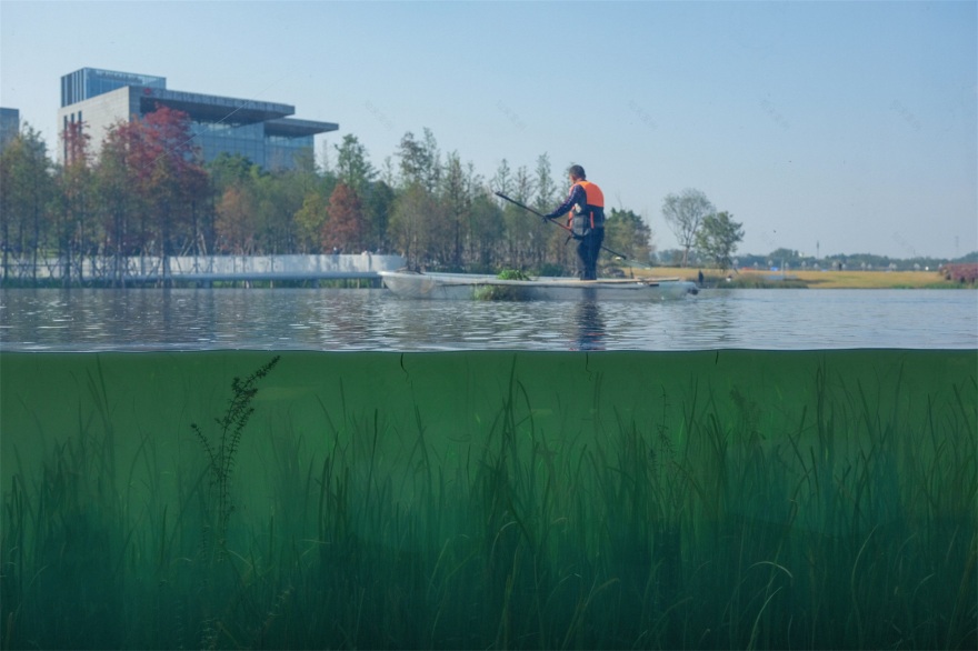 成都兴隆湖·湖畔森林图书馆丨中国成都丨昱道景观-18