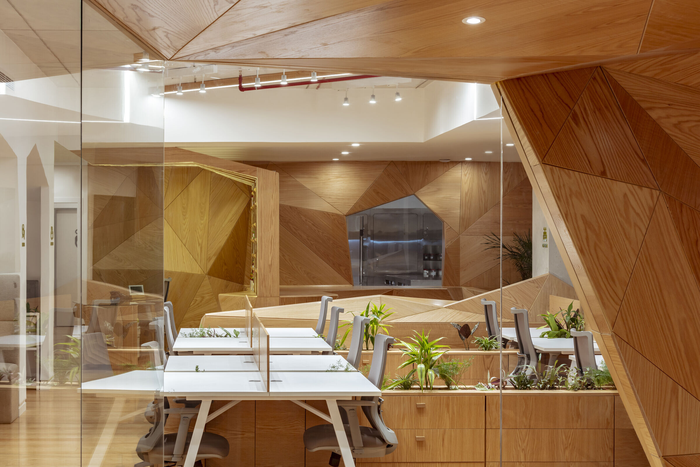 Terrafertil 办公空间设计丨厄瓜多尔丨Leppanen + Anker architects-22