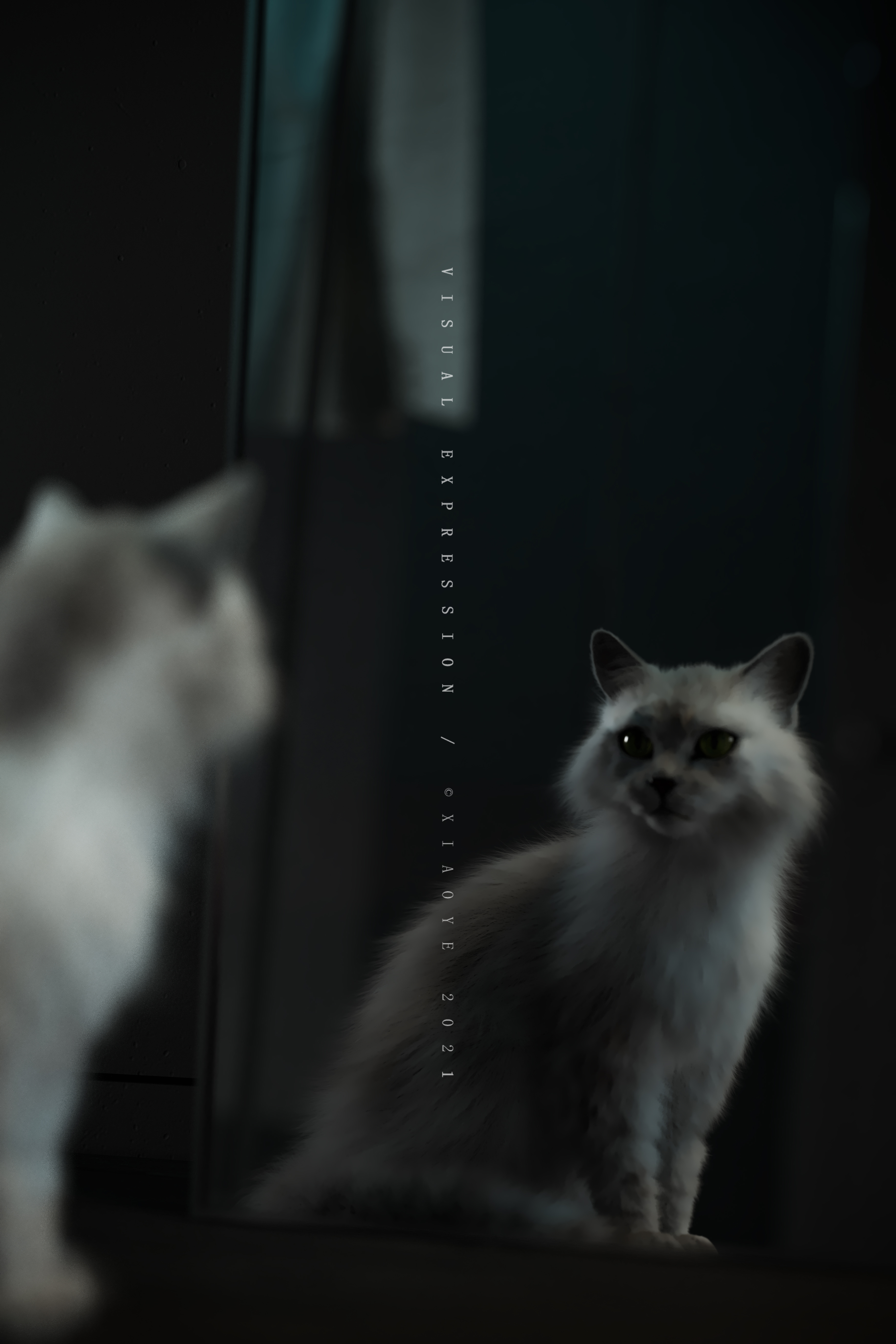 黑色视觉盛宴 · XIAOYE 室内设计作品-18