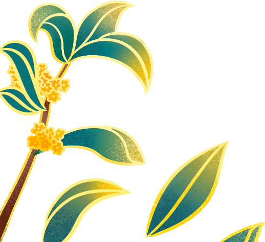 泸沽湖畔，藏在木构里的摩梭诗意-2