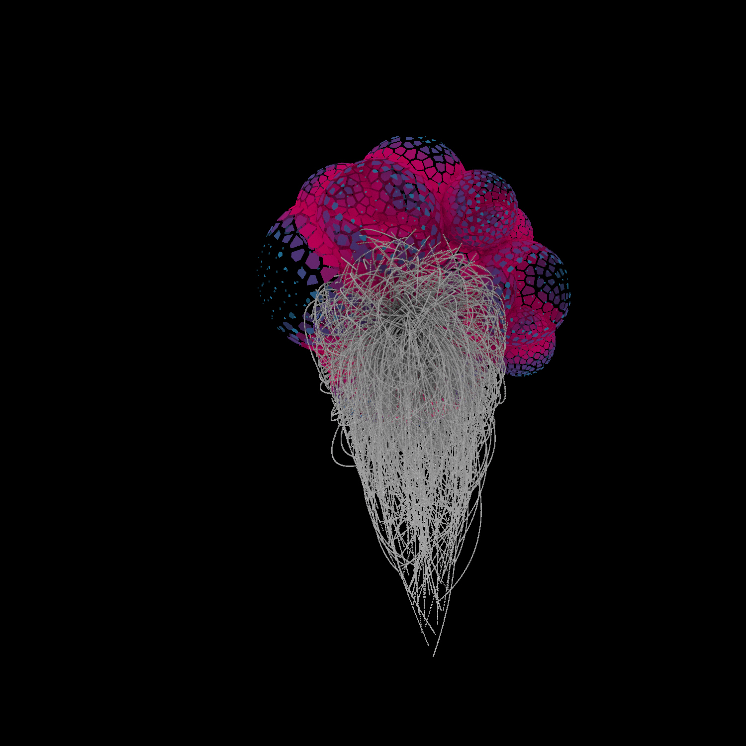 Pensamiento computacional 1. Ej 005.-7