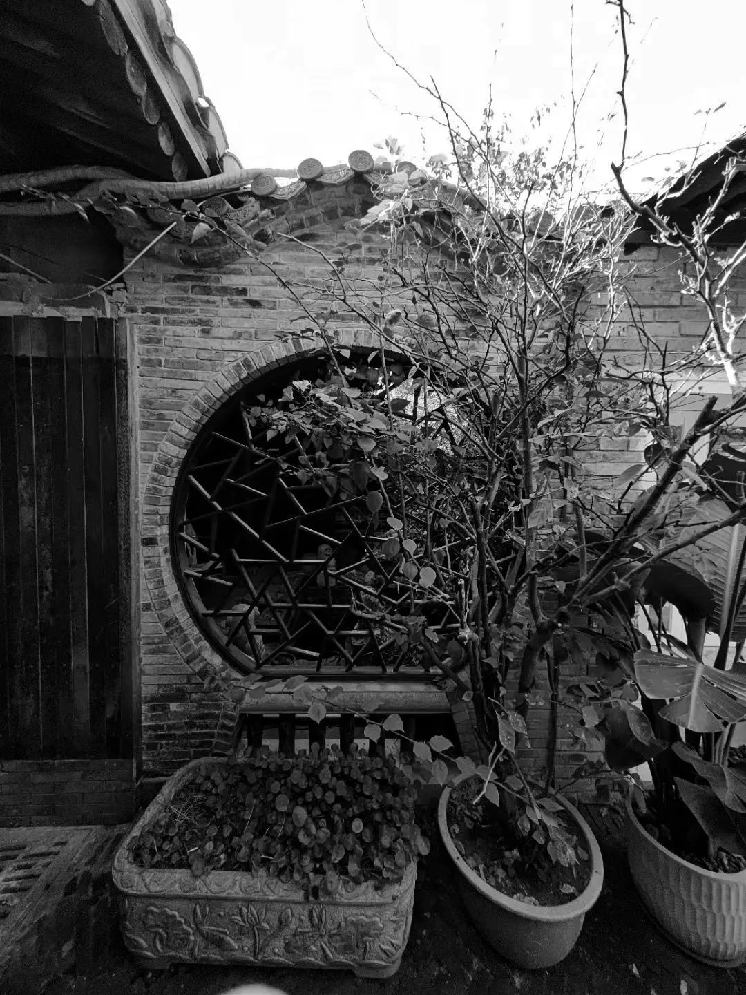 温州五马街电影院后巷改造丨中国温州丨Atelier Alter Architects 时境建筑-16