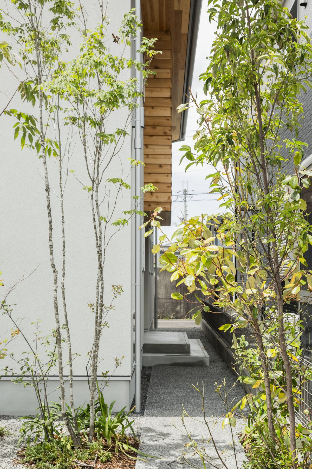 虫生野の家丨日本丨Hearth Architects-1