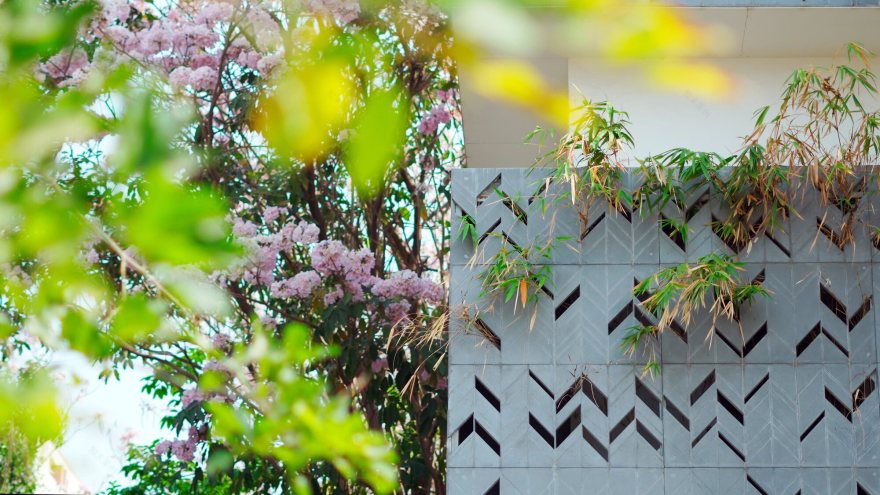 繁花居(注:这里Blooming可理解为盛开的、繁花似锦的,Haus在德语等语言中有房屋、住宅之意,结合整体语境这样翻译较合适,但如果有特定背景可能需调整) 丨印度班加罗尔丨Studio WhiteScape-43