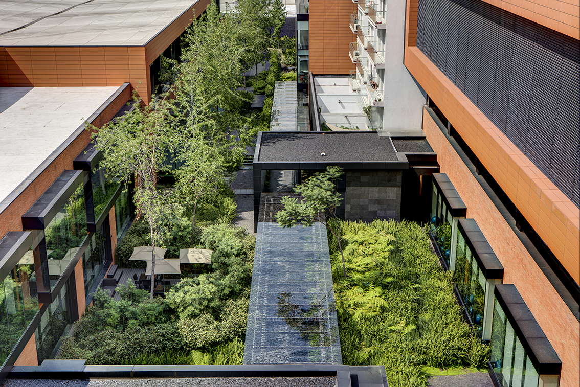 Coyoacán公司校园-34