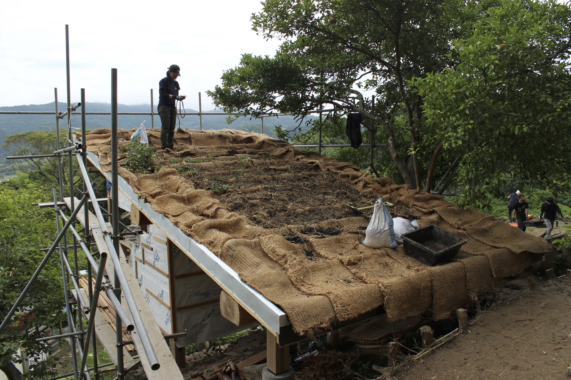 小房子特基特基安丨日本丨6lines studio-21