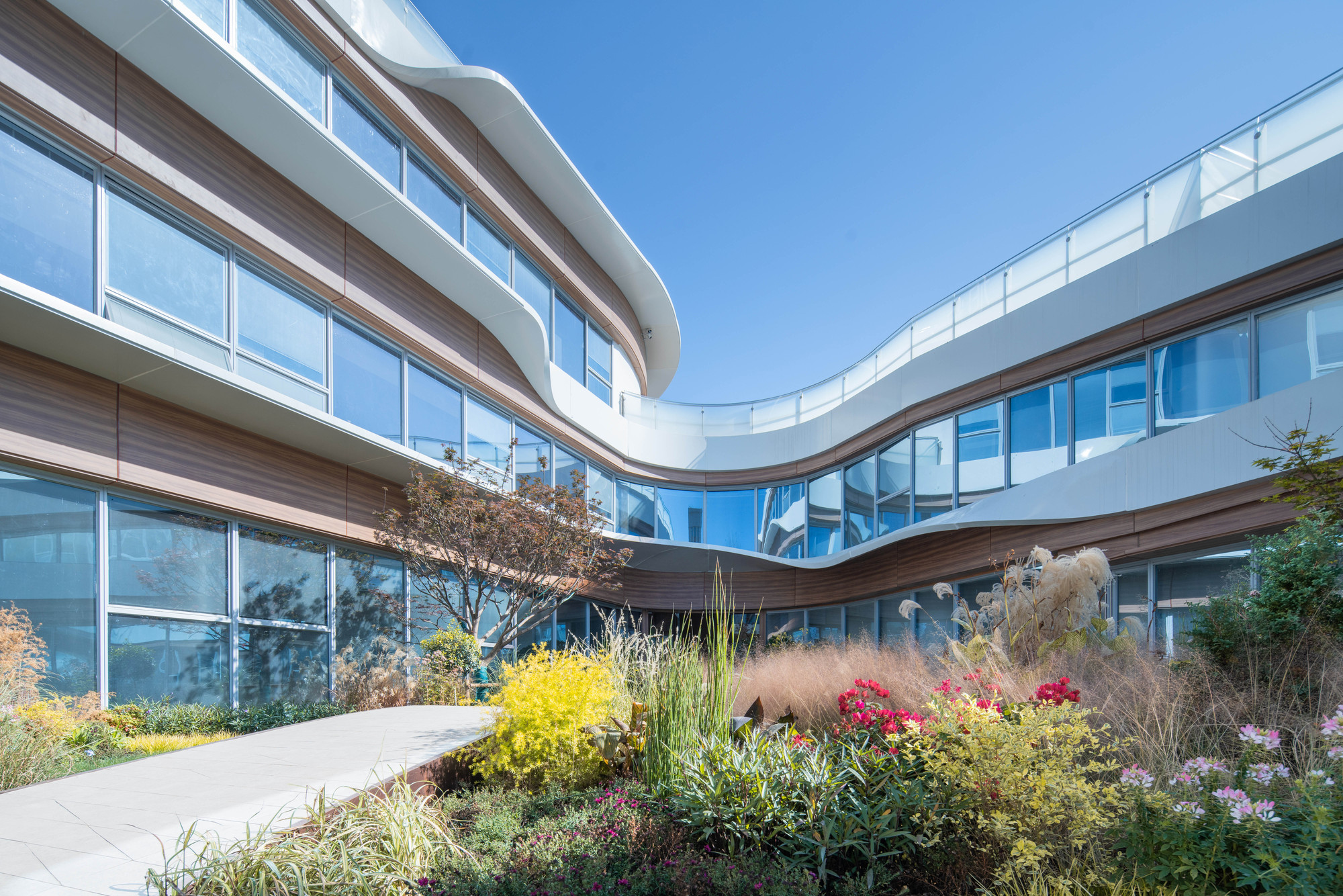 CIFI Donut Kindergart / THDL-15