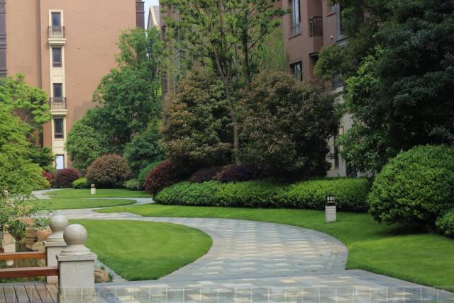 绿化设计中的地被放线手法与植物配置-153