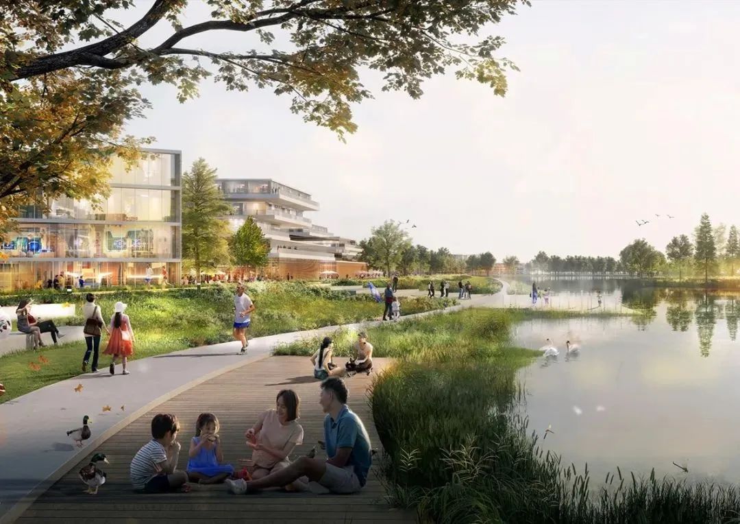 创新国际化生态社区丨华建集团华东院原创中标北虹桥城中村项目封浜片区规划设计总控服务-36