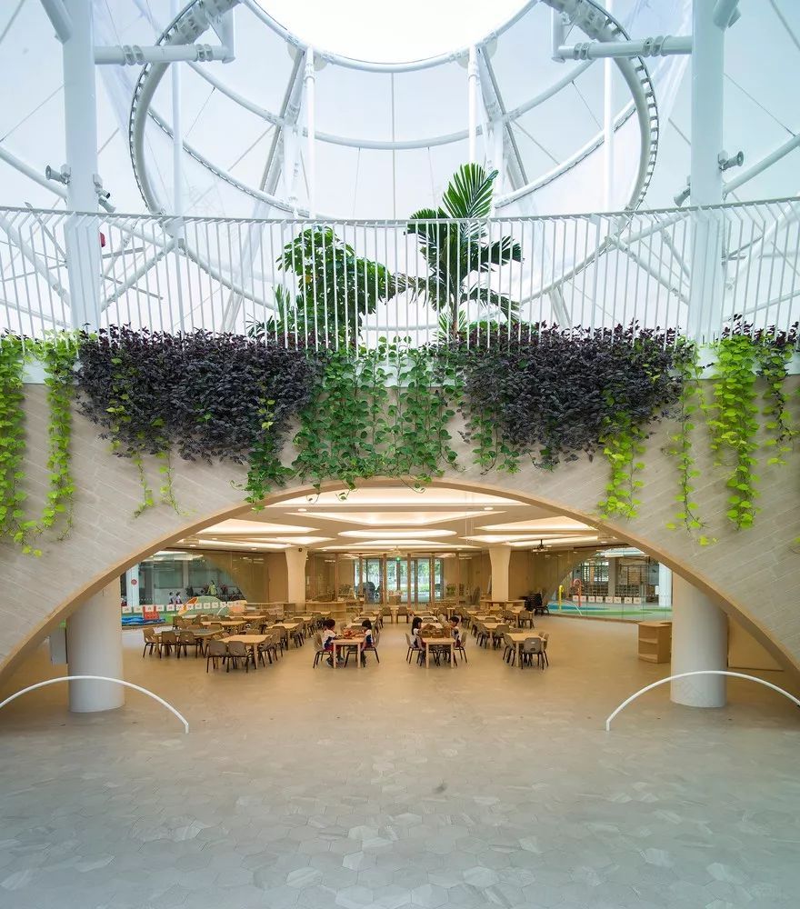 新加坡学前教育学校 Sparkletots,鳍状立面包围白色圆形空间-14