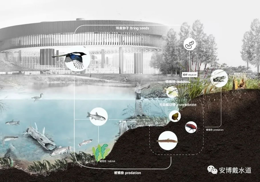 成都科教枢纽绿谷景观&生态水方案设计丨中国成都丨OMA建筑事务所,安博戴水道-15