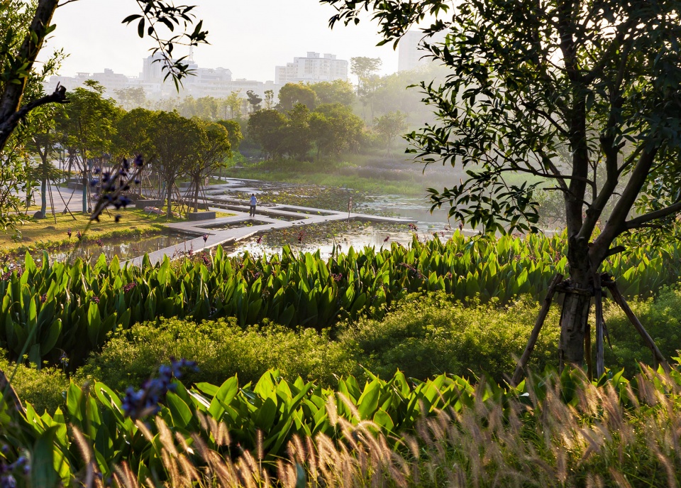 美舍河凤翔公园-39