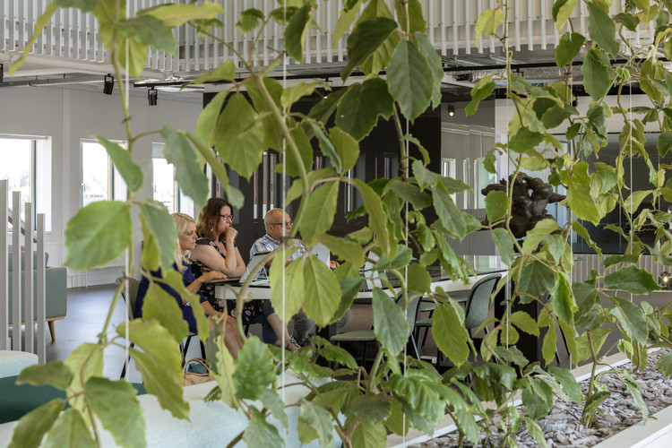 创新办公空间 | 阿尔克马尔市办公室-98