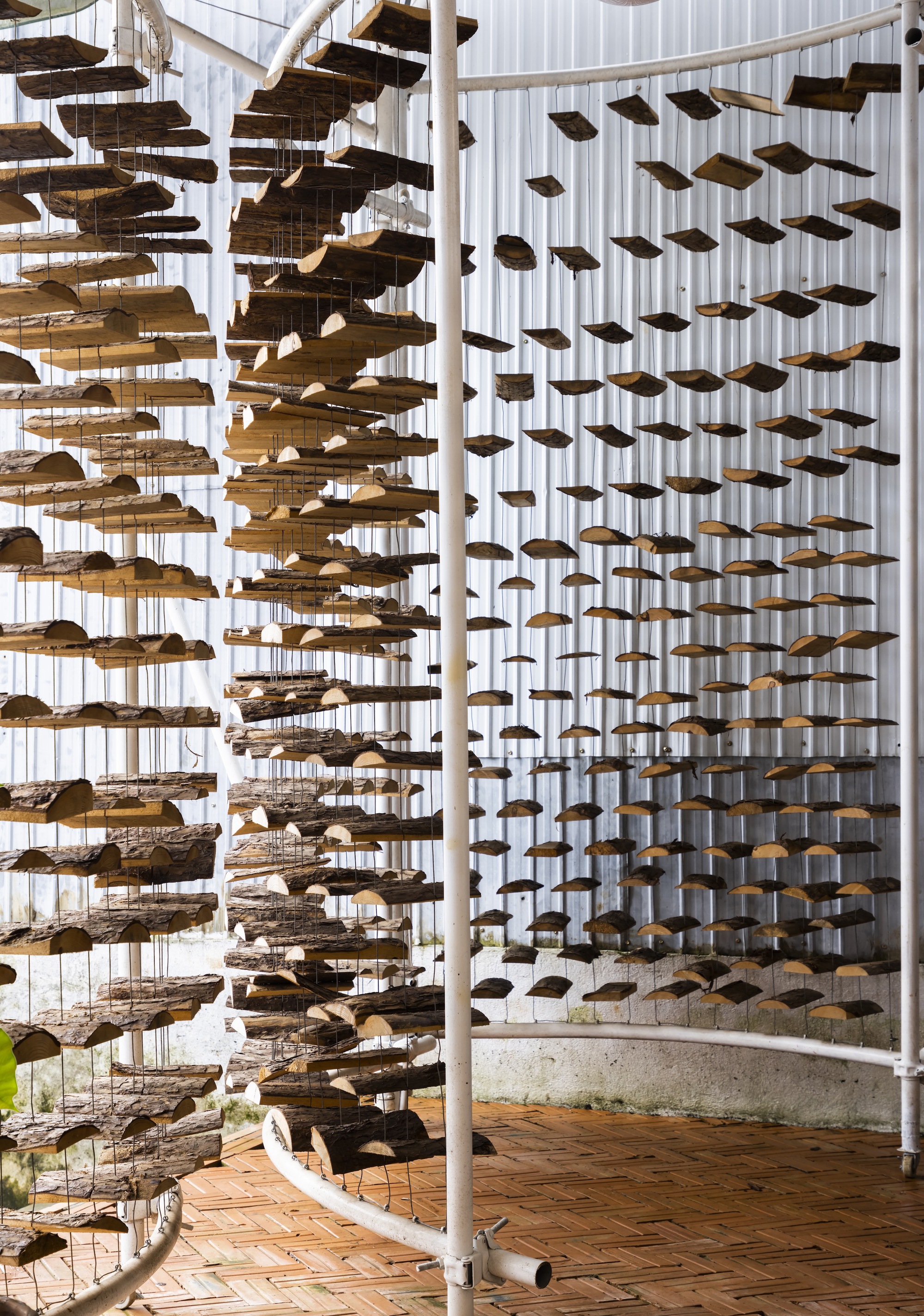 采茶，开花丨越南-48