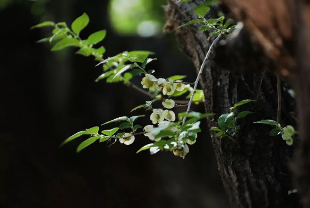 乡愁的味道 | 美食与室内设计-71