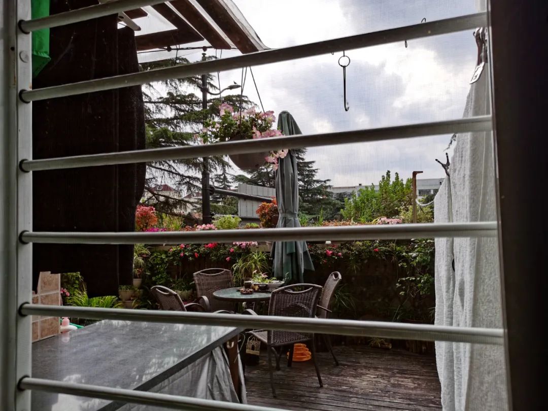 独居匠心，她把仅有10多㎡的小露台打造成成上海十佳“美丽阳台”之一！-23