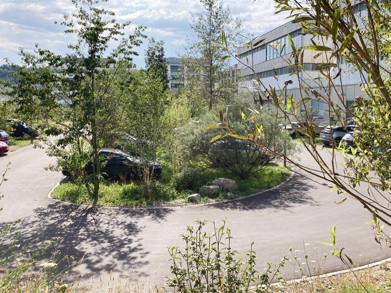 瑞士 DSM 创新校园-1