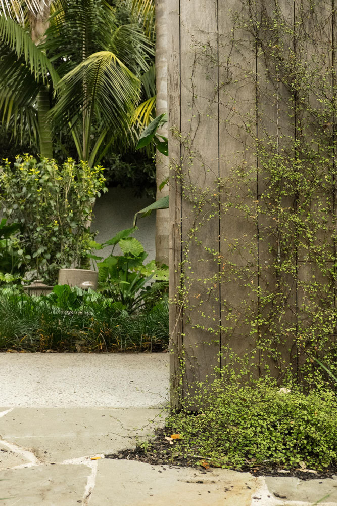 Argyle House 的有机庭院景观-9