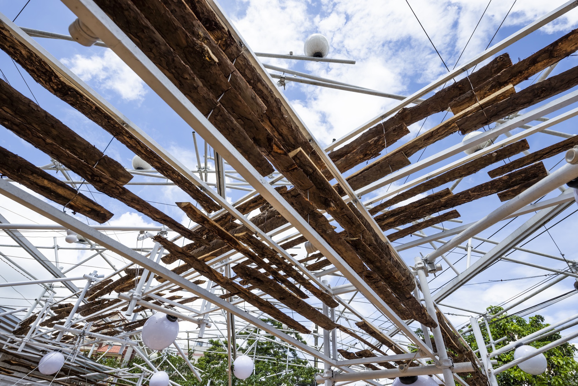 采茶,开花丨越南-21