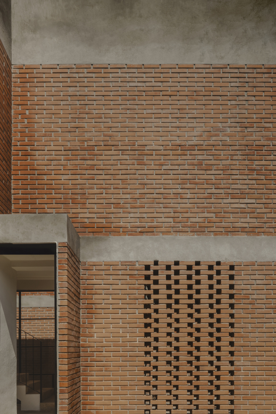 鲨鱼屋丨墨西哥丨TALC-16