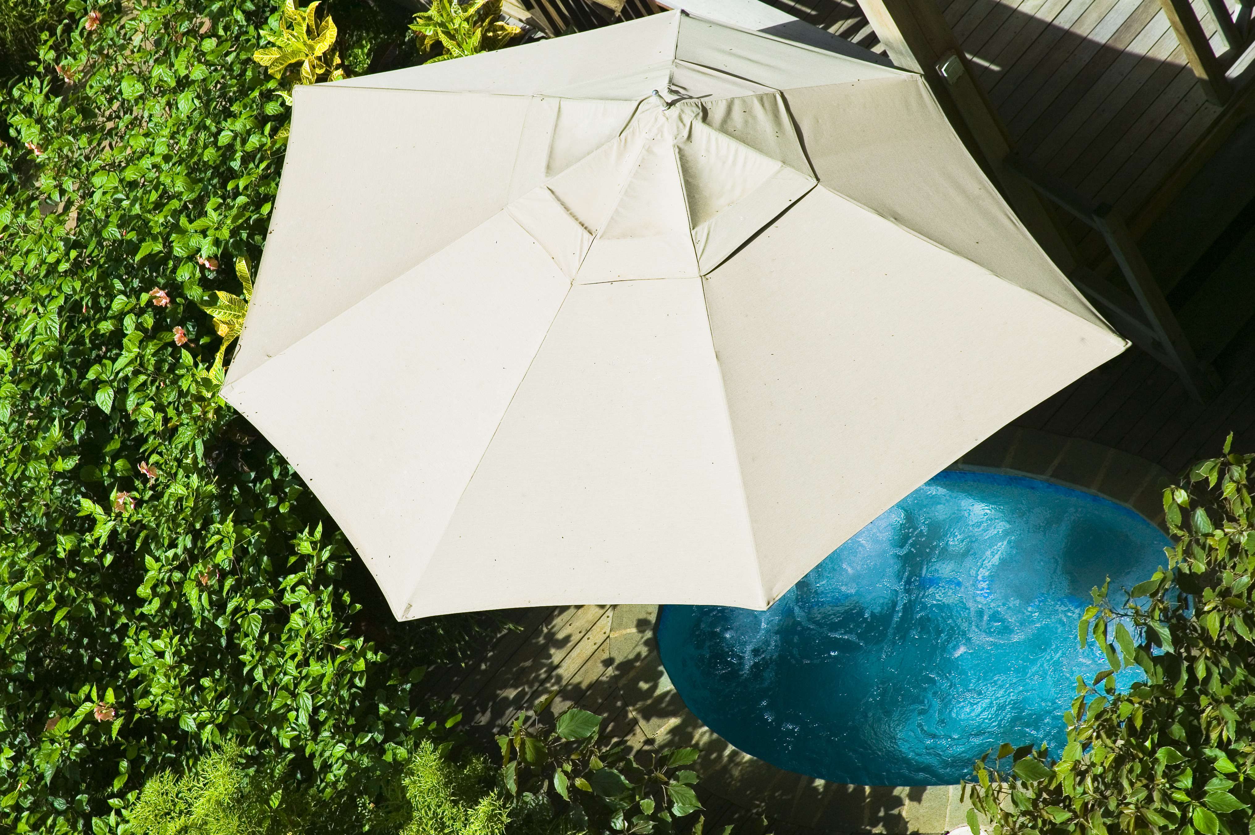 Discovery at Marigot Bay（东加勒比海，圣卢西亚岛）-10