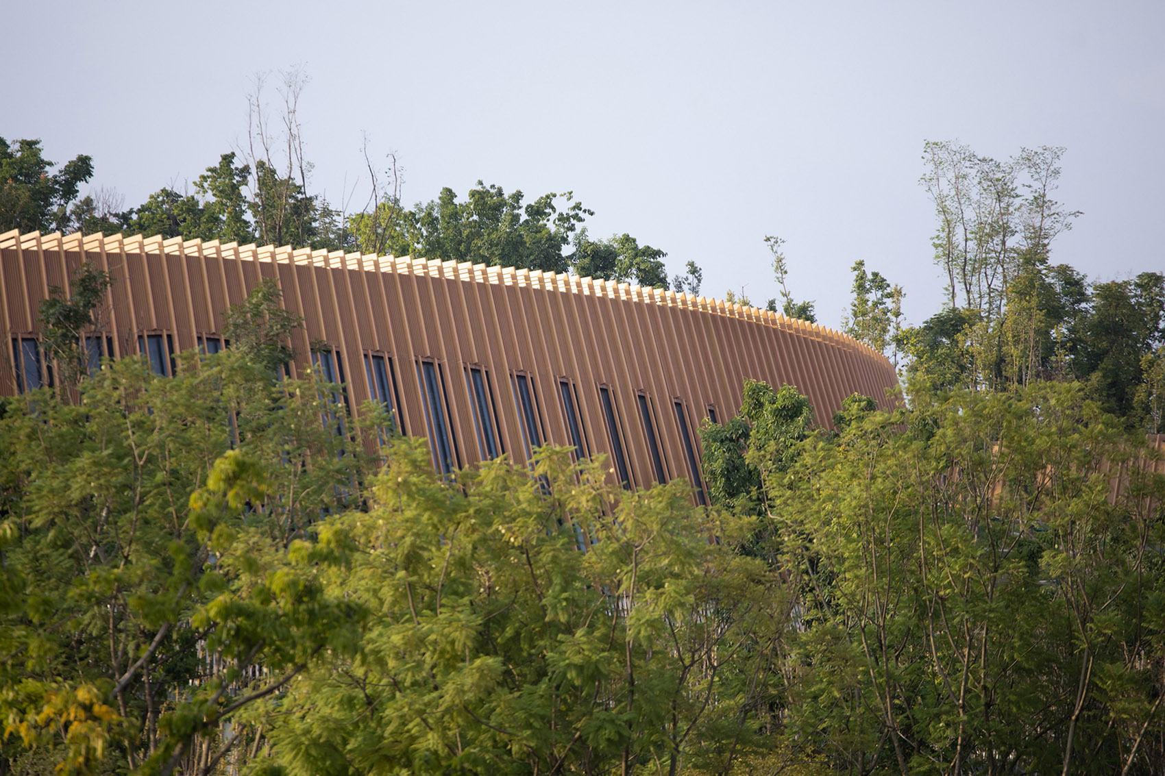 成都熊猫新舍丨中国成都丨EID Arch姜平工作室-85