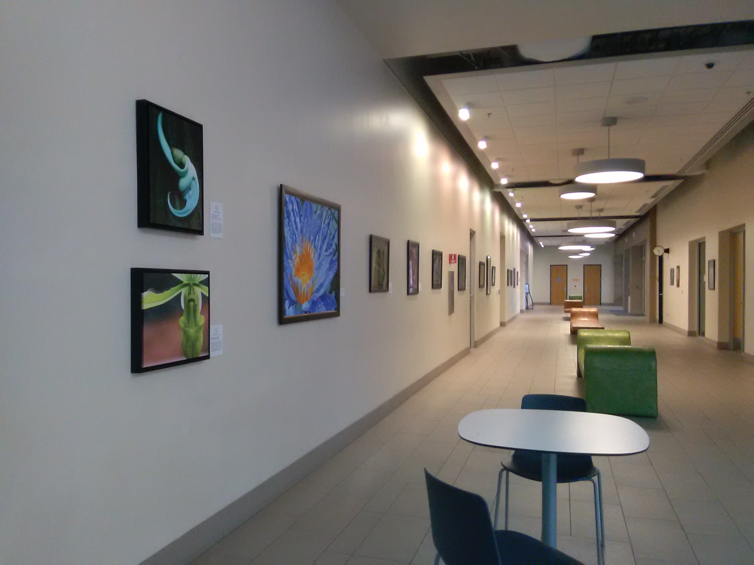 丨MSR Architecture-39