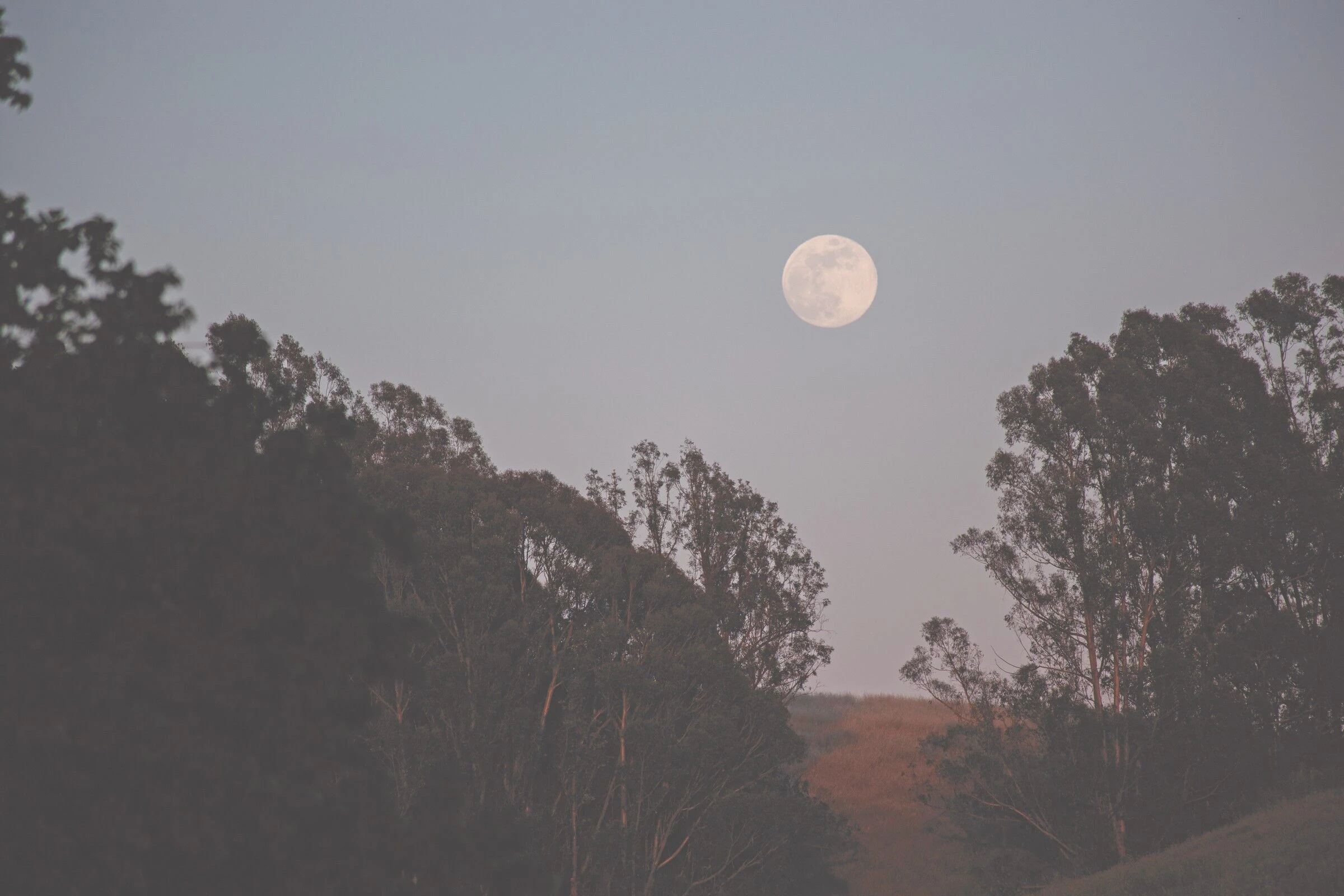 多努姆之家丨美国加利福尼亚丨Studio David Thulstrup-35