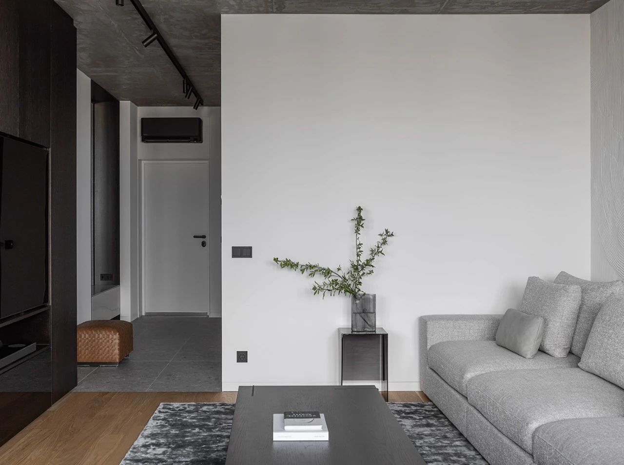 75㎡灰色简约空间设计丨Evgenia Mlynchik-0