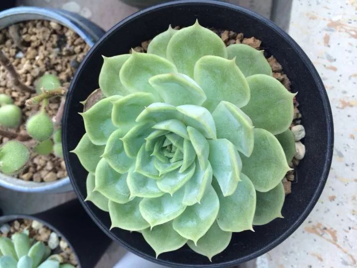 牡丹里 90㎡美式风格装修丨尚居装饰-8