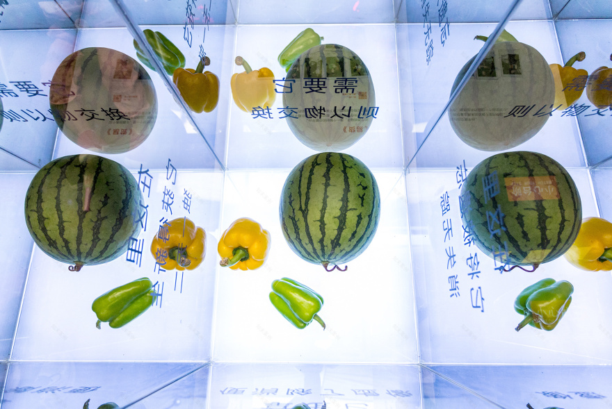 菜市场的艺术革命 | 空间利用与生活美学-21