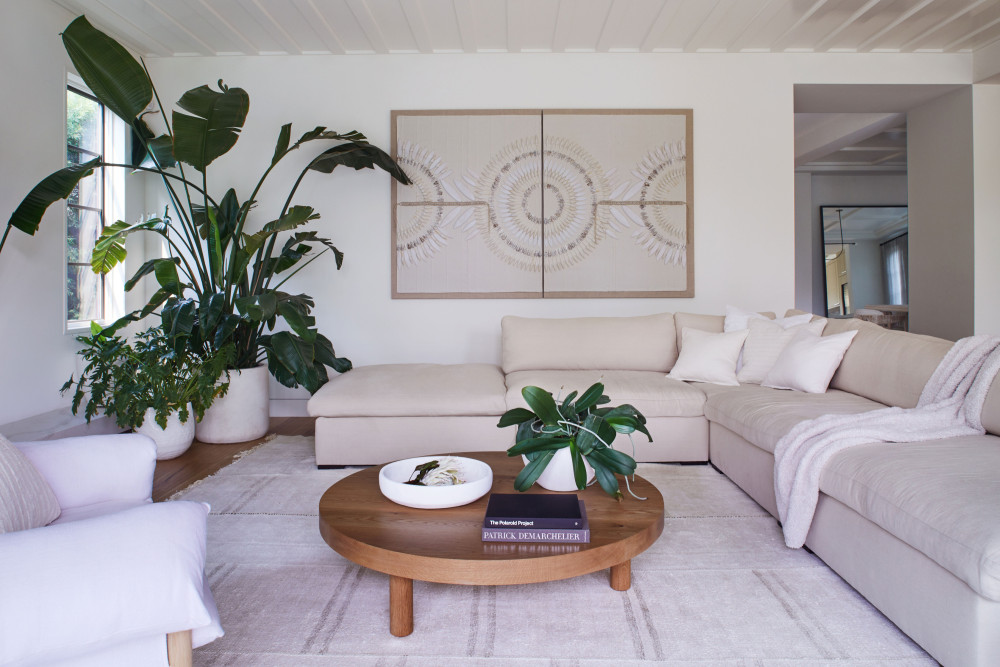 简·阿特金与迈克·罗森塔尔的极简主义温馨家园-8