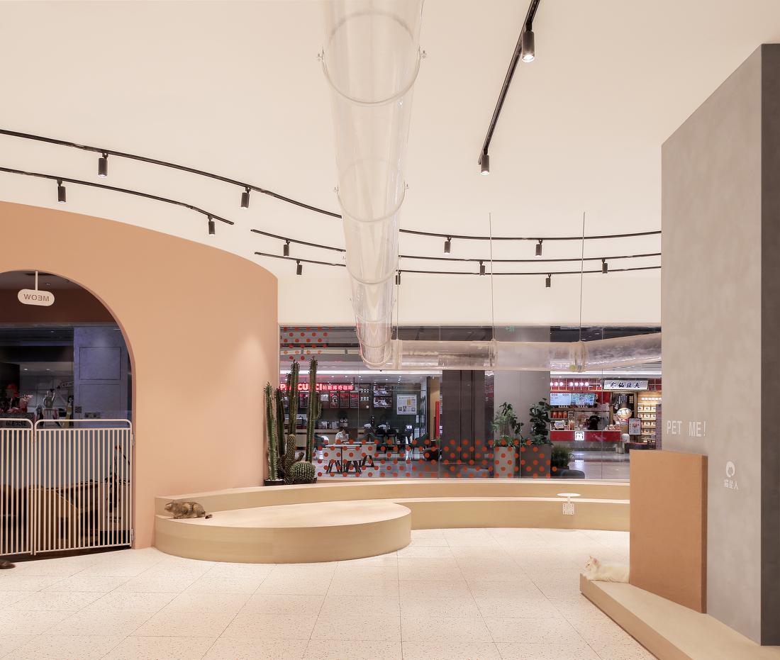 喵星人入侵 · 猫咪共享空间丨中国青岛丨黄士华-27